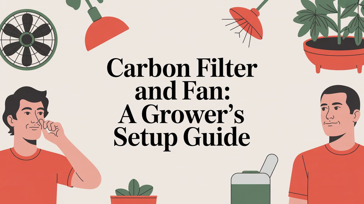 Carbon Filter and Fan: A Grower's Setup Guide