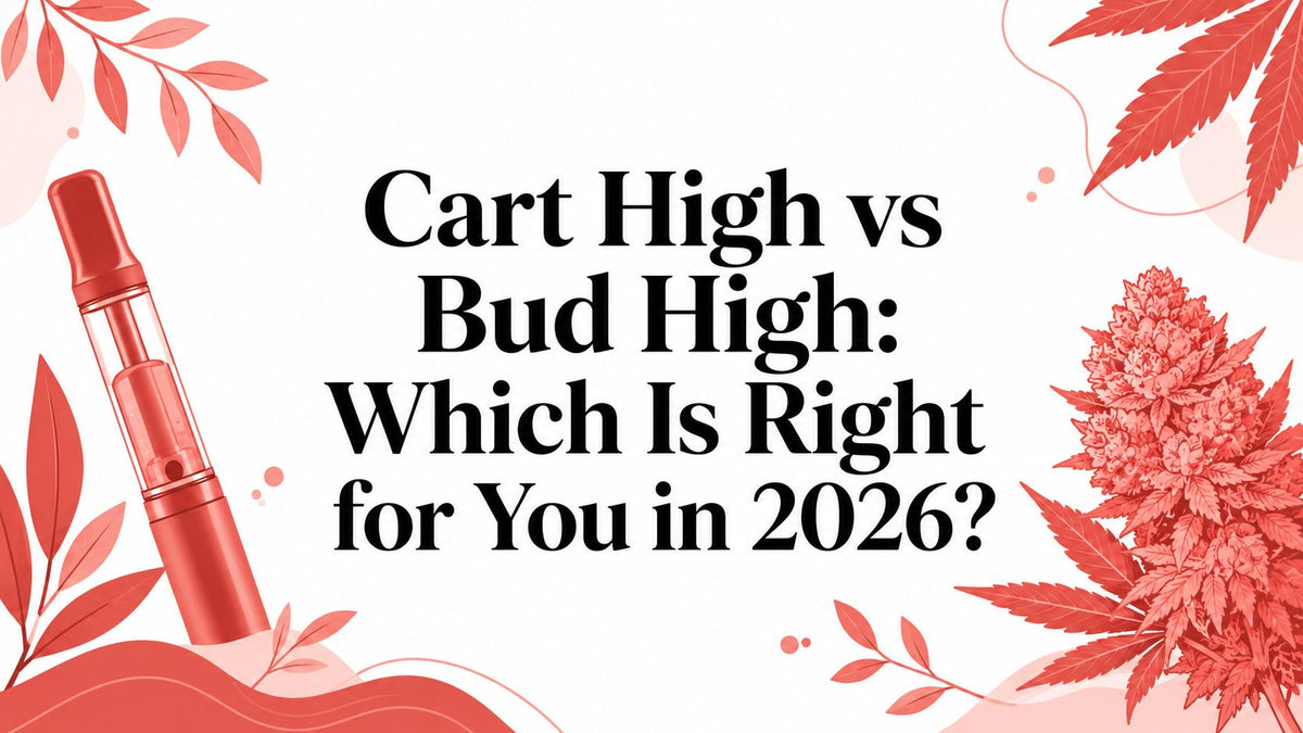 Cart High vs Bud High: Which Is Right for You in 2026?
