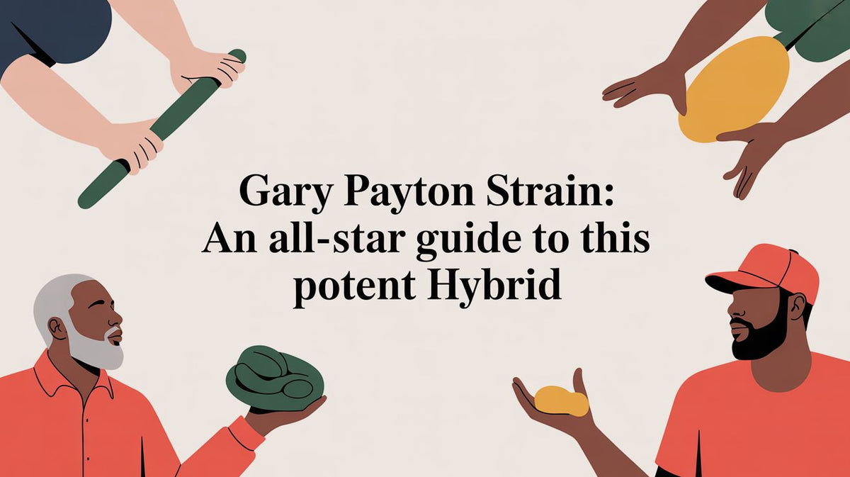 Gary Payton Strain An All-Star Guide to This Potent Hybrid