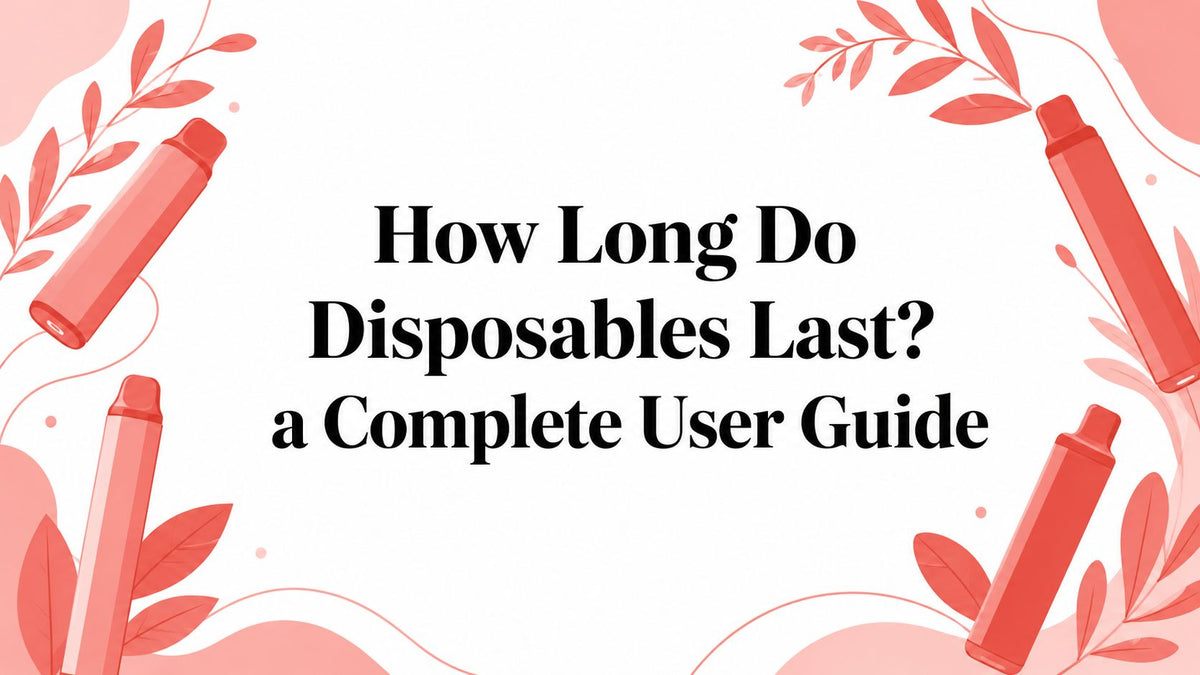 How Long Do Disposables Last? a Complete User Guide
