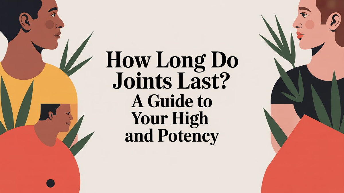 How Long Do Joints Last? A Guide to Your High and Potency