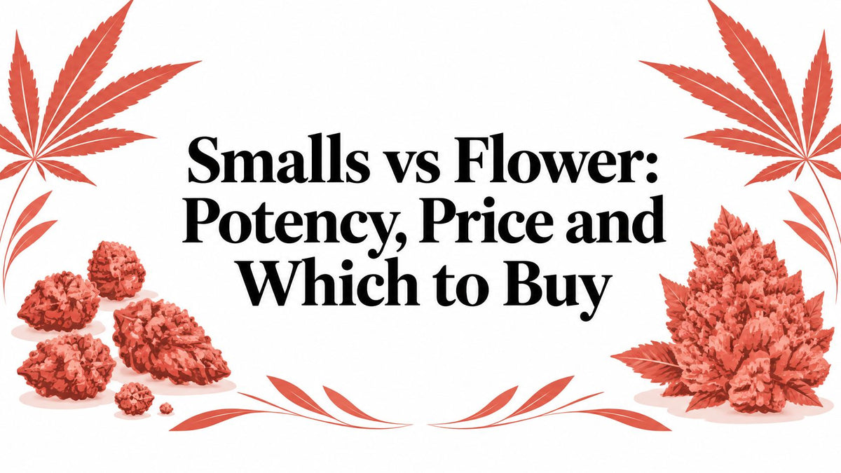 Smalls vs Flower: Potency, Price and Which to Buy
