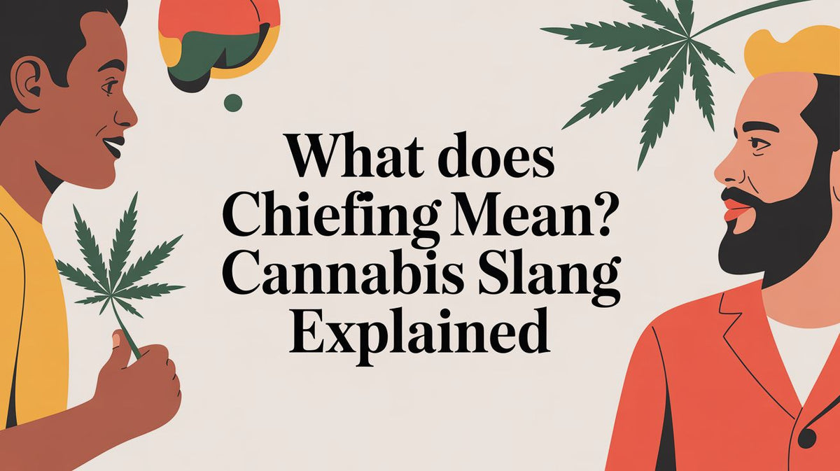 What Does Chiefing Mean? Cannabis Slang Explained