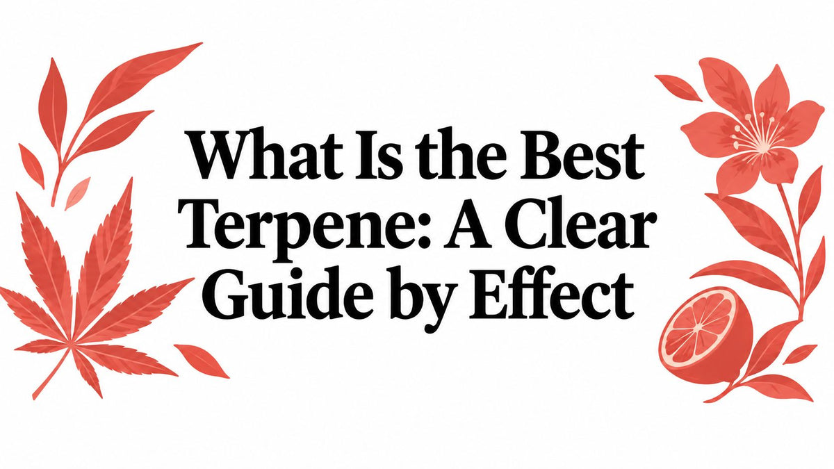 What Is the Best Terpene: A Clear Guide by Effect