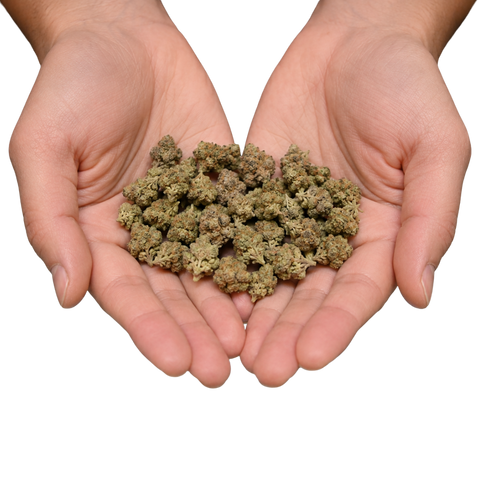 14g — Half Ounce