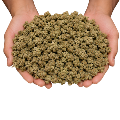 84g — 3 Ounces