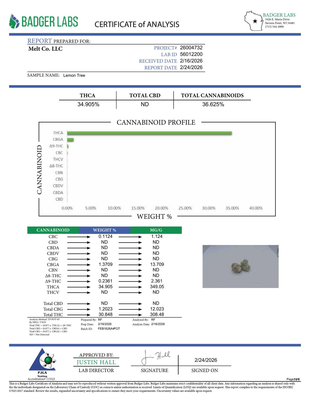 Lab report — Lemon Tree THCA potency analysis