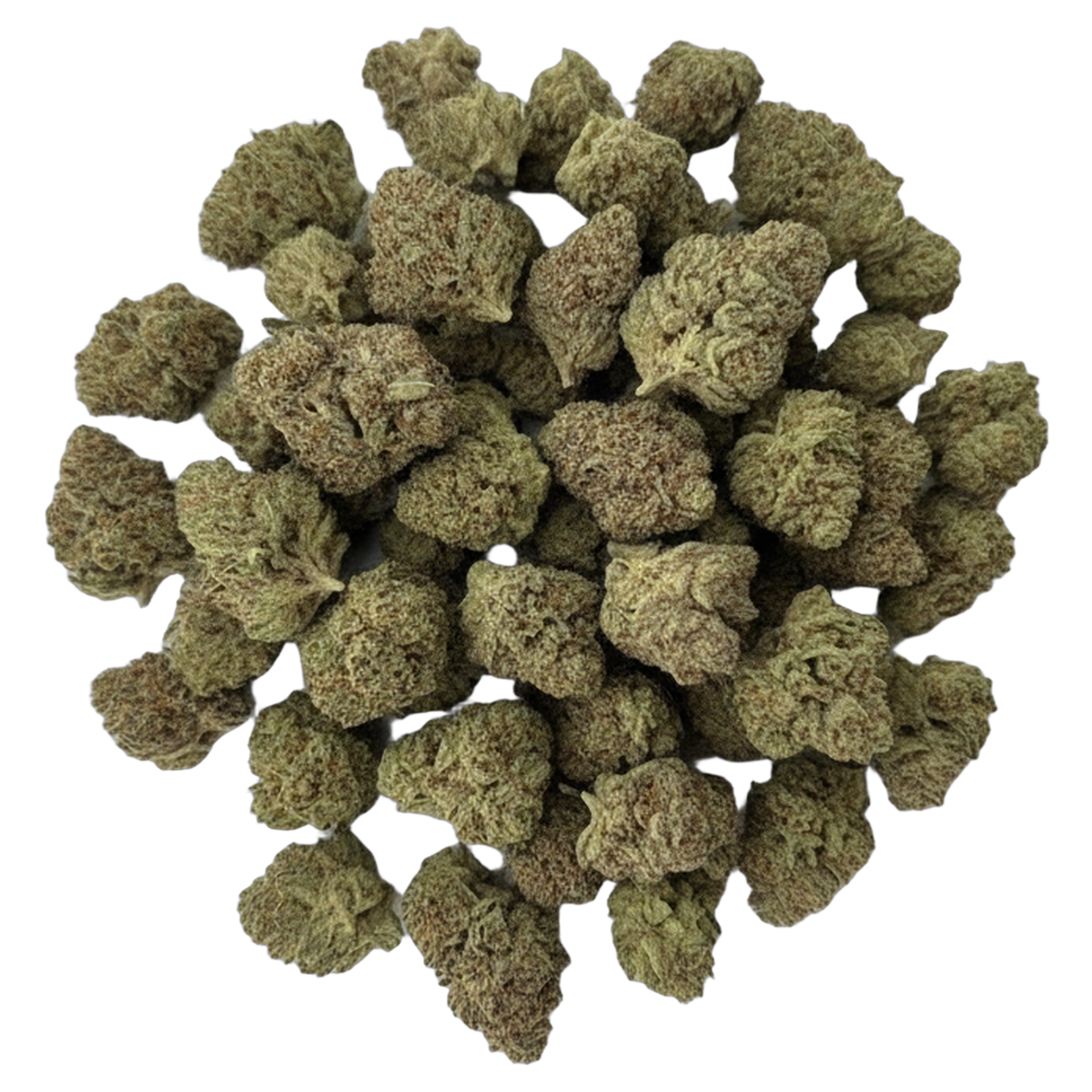 Oreoz premium indoor THCA flower bulk