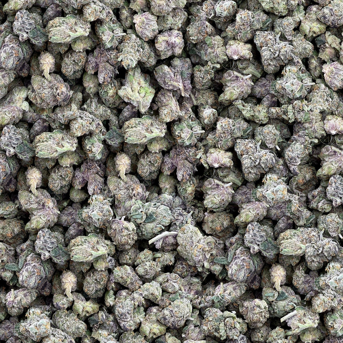 Gelati smalls THCA flower — boutique craft indoor, bulk
