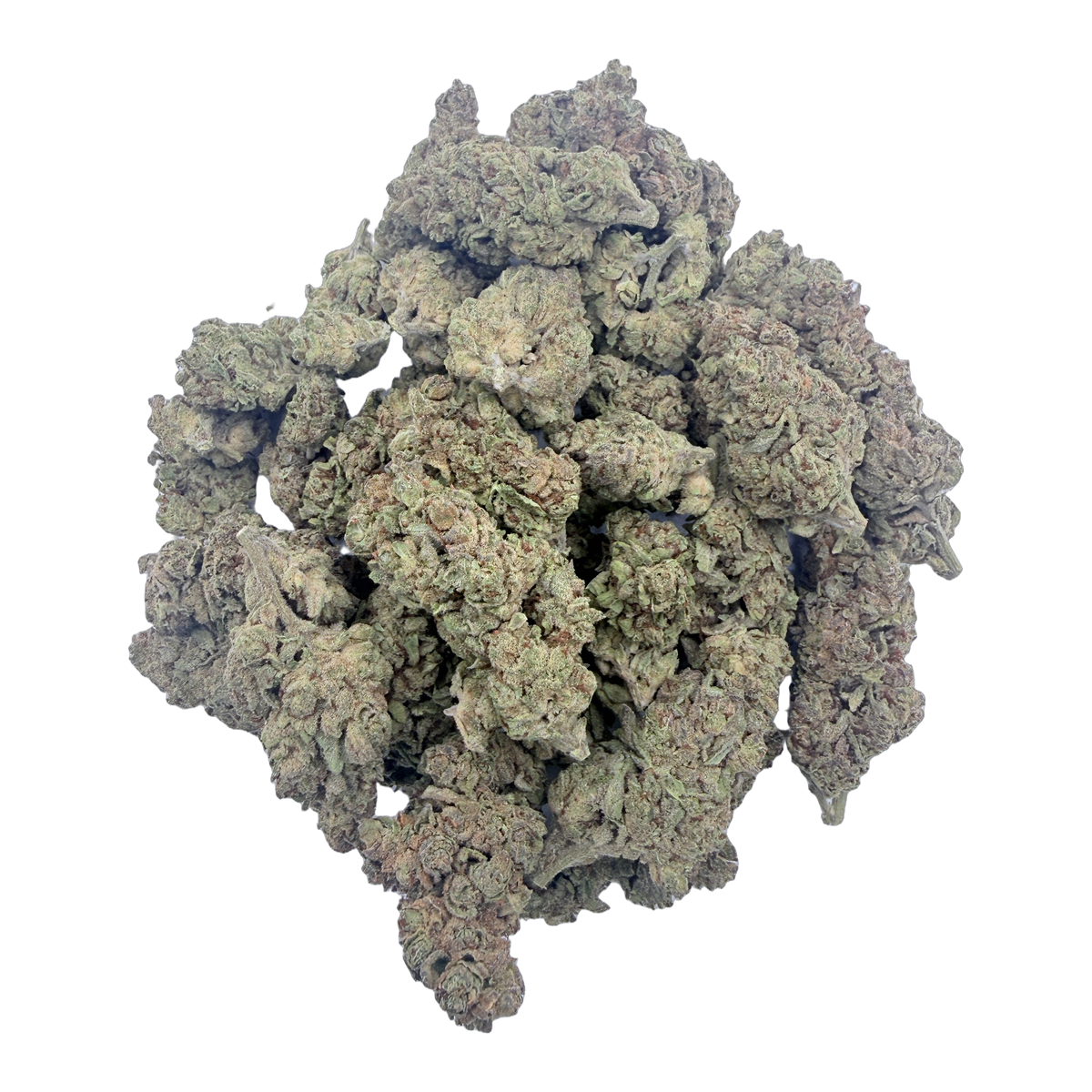 Ghost Train Haze Sativa THCA bulk flower by Melt