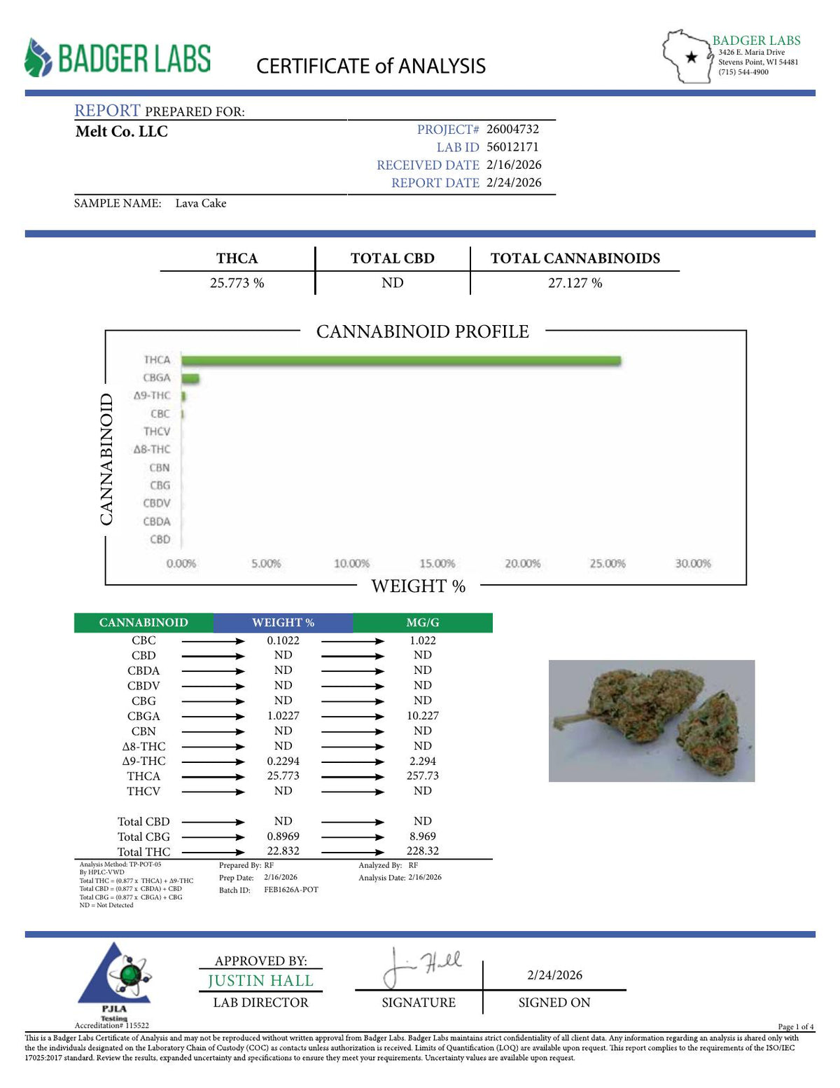 Lab report - Lava Cake THCA potency analysis